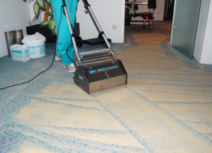 Wögenstein Teppich-Trockenreinigung, Einbürsten der reinigungsaktiven Substanzen